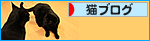ヘンテコな夜をたっぷり満喫♪_a0389088_17471749.jpg