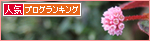 黒猫の大行列!_a0389088_17472070.jpg