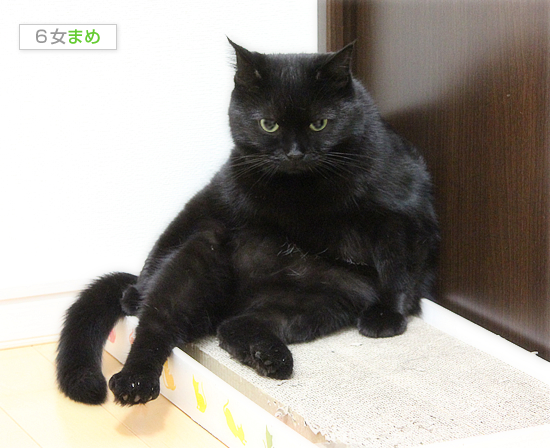 「女子」のはずが・・・_a0389088_17472104.jpg