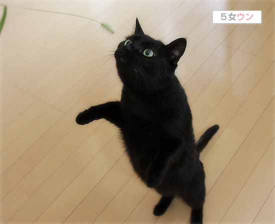 生まれてはじめての・・・_a0389088_17472176.jpg