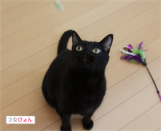 生まれてはじめての・・・_a0389088_17472206.jpg