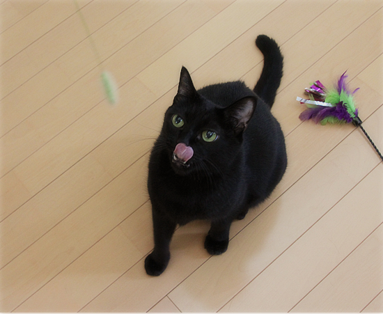 生まれてはじめての・・・_a0389088_17472280.jpg