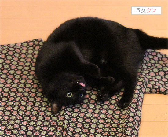 やめてほしいこと_a0389088_17472352.jpg