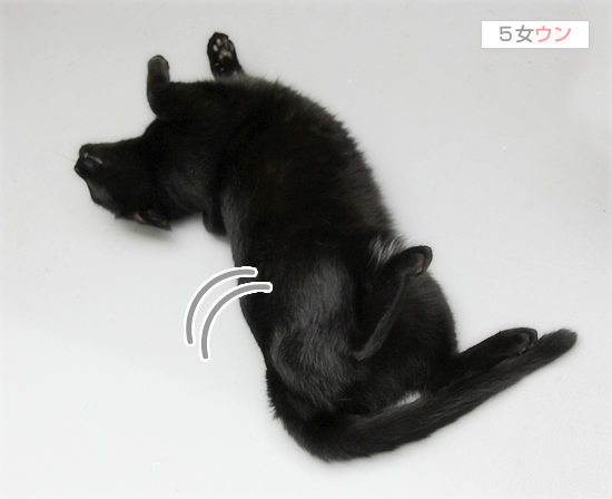 雨のあとには・・・_a0389088_17472480.jpg