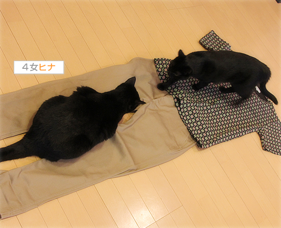 やめてほしいこと_a0389088_17472483.jpg