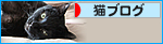 雨のあとには・・・_a0389088_17472511.jpg