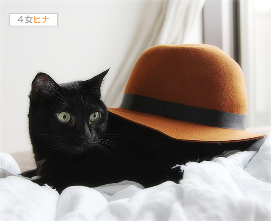 あの生き物に大変身!_a0389088_17472639.jpg