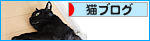 「心の傷」とその後_a0389088_17472706.jpg