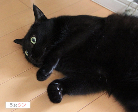 「心の傷」とその後_a0389088_17472762.jpg