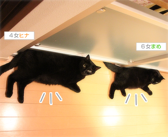 大台に乗ったのは・・・!?_a0389088_17473332.jpg