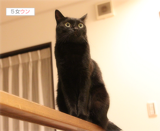 大台に乗ったのは・・・!?_a0389088_17473360.jpg