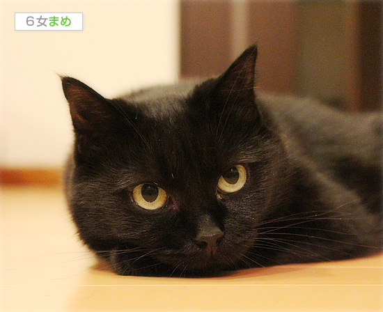 その時、彼女の身に何が?_a0389088_17473475.jpg