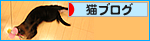 ダイエット作戦!_a0389088_17473529.jpg
