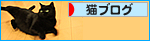 その時、彼女の身に何が?_a0389088_17473586.jpg