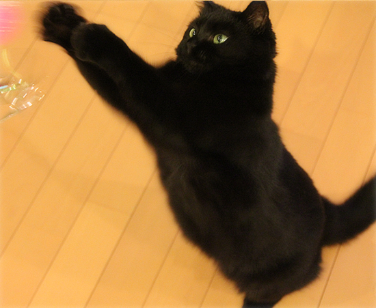 超ヒットのおもちゃ_a0389088_17473956.jpg