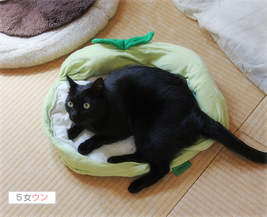 出てきた「思い出」にホロリ・・・_a0389088_17473961.jpg