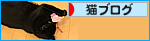 超ヒットのおもちゃ_a0389088_17473987.jpg