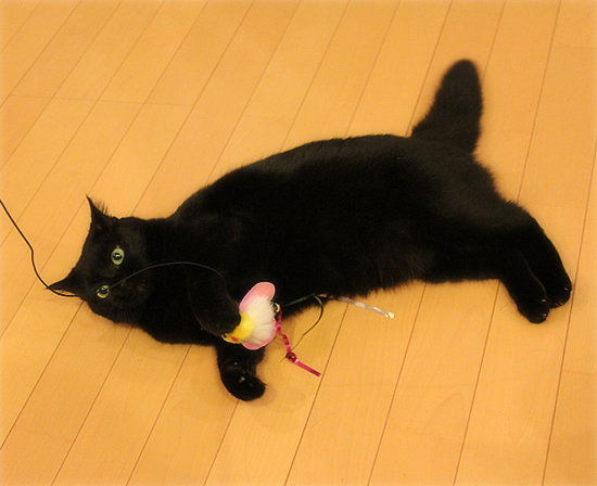 超ヒットのおもちゃ_a0389088_17473994.jpg