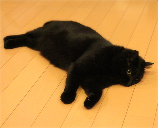 出てきた「思い出」にホロリ・・・_a0389088_17474065.jpg