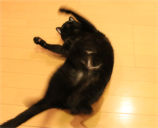 これでもヤル気です_a0389088_17474312.jpg