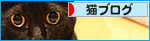 これでもヤル気です_a0389088_17474486.jpg