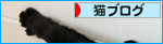 猫は最高の癒し_a0389088_17474587.jpg