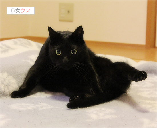 あいがいた毛布_a0389088_17480381.jpg
