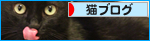あいがいた毛布_a0389088_17480392.jpg