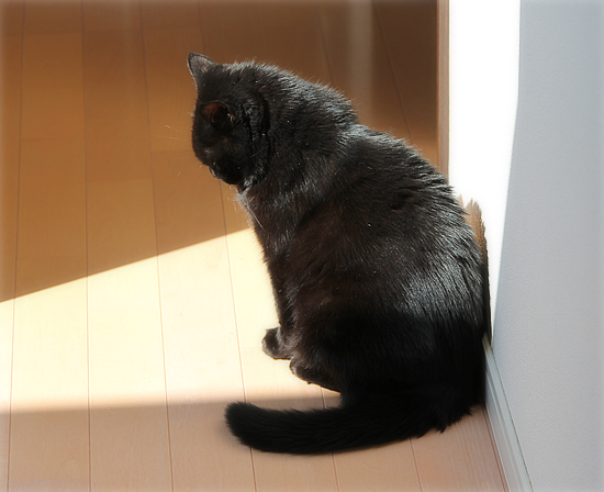 人間のチカラ_a0389088_17480464.jpg