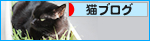 人間のチカラ_a0389088_17480465.jpg