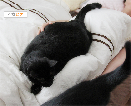 猫まみれの時間ですよ!_a0389088_17480470.jpg