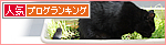 人間のチカラ_a0389088_17480484.jpg