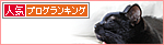 猫まみれの時間ですよ!_a0389088_17480522.jpg