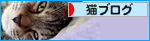 江戸っ子ナツの夏便り_a0389088_17480971.jpg