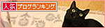 子猫の特権!_a0389088_17481100.jpg