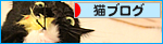 子猫の特権!_a0389088_17481172.jpg