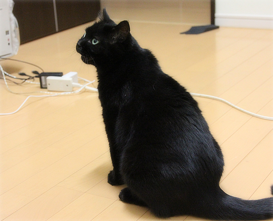 6:50の怪_a0389088_17481313.jpg