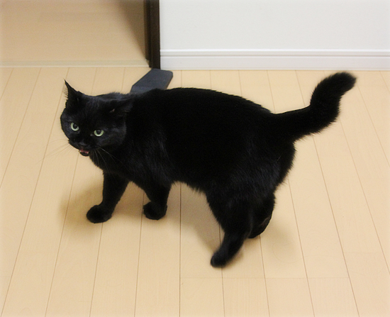 6:50の怪_a0389088_17481318.jpg