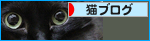 「しあわせ」はこんな近くに・・・_a0389088_17481329.jpg