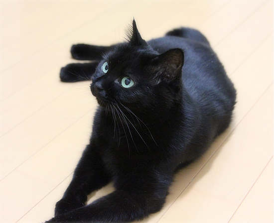 6:50の怪_a0389088_17481377.jpg