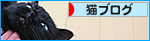6:50の怪_a0389088_17481432.jpg