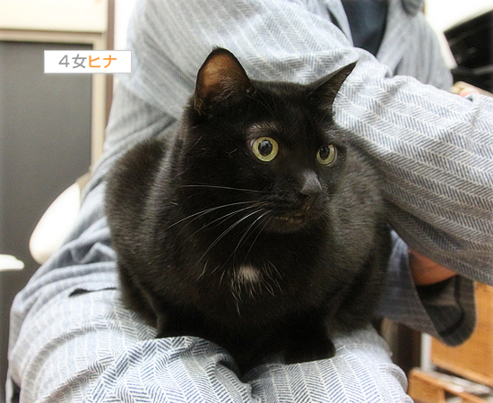 はじめての「しあわせ」_a0389088_17483851.jpg