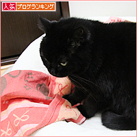 はじめての「しあわせ」_a0389088_17483871.jpg