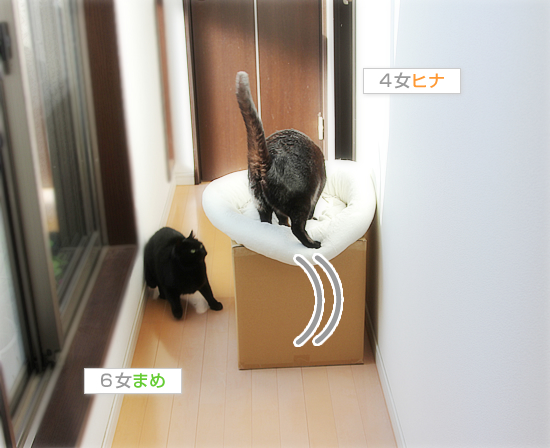 上か下か_a0389088_17484042.jpg