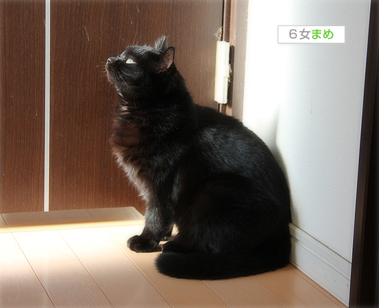 上か下か_a0389088_17484094.jpg