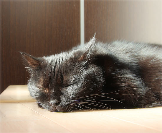 上か下か_a0389088_17484134.jpg