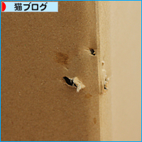 上か下か_a0389088_17484182.jpg