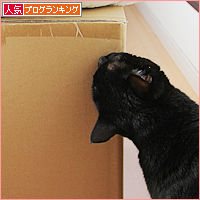 上か下か_a0389088_17484198.jpg