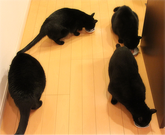 ささやかで、最高のしあわせ_a0389088_17484317.jpg