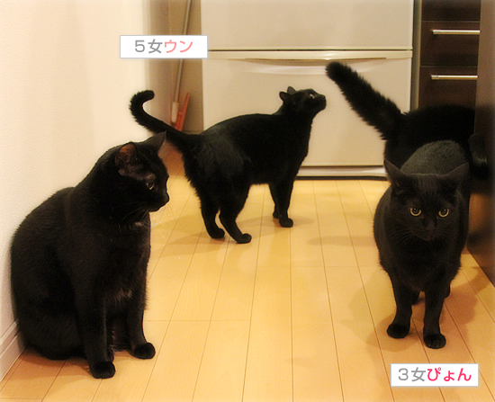 ささやかで、最高のしあわせ_a0389088_17484343.jpg